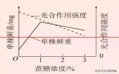 高考姊妹题：t2010年课标卷