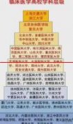 临床医学高校金字塔排名