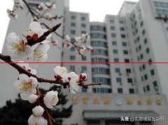 “四系”法学专业录取分