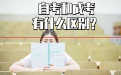 成人高考和自学考试有什