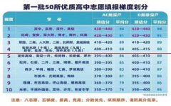 2019年深圳公立高中梯队排