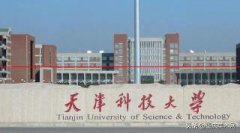 除了双一流大学、艺术名