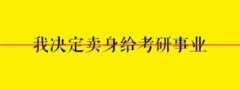 2019年全国各省市考研报名